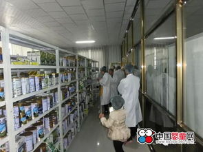 近距离见证品质，定边乳业组织消费者进工厂活动圆满落幕，专业水平赢赞誉